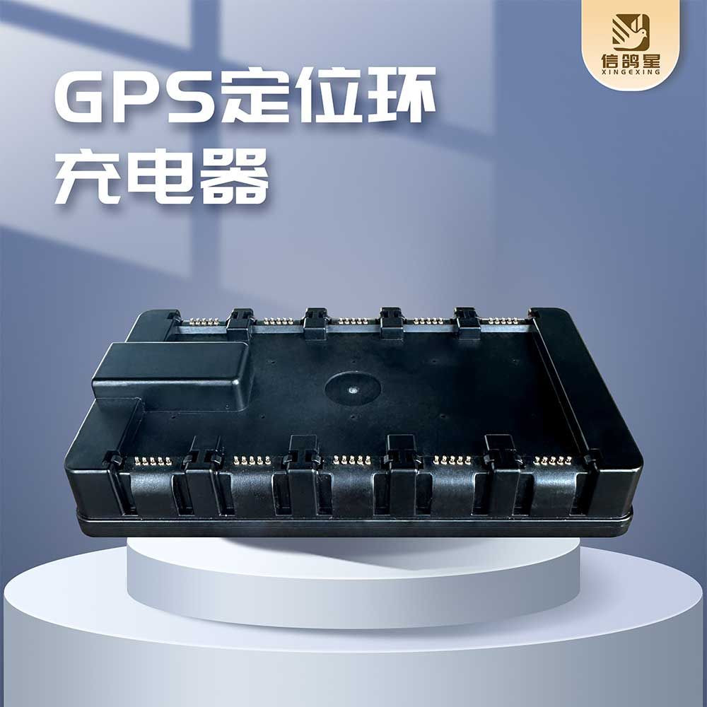 2025年上海信鸽500公里联赛：张文鑫首次夺冠，揽获速度1097米/分！