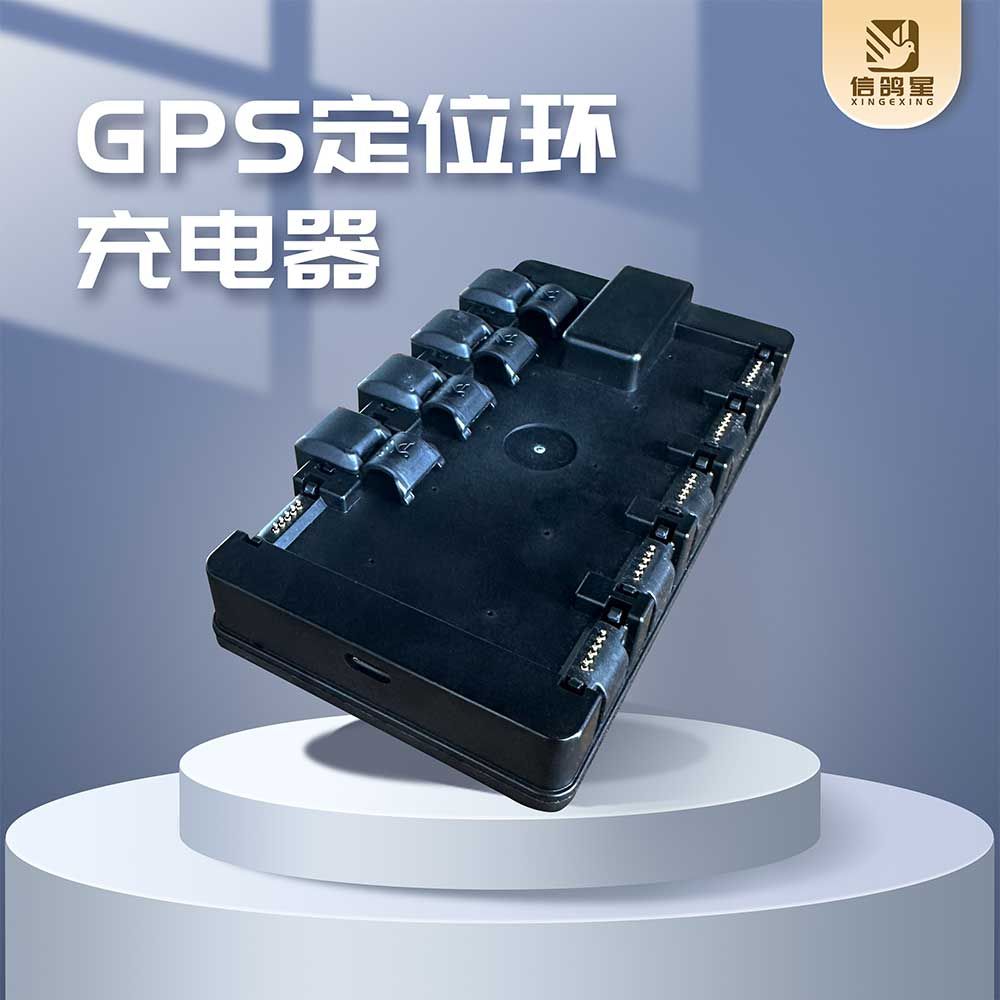 中国赛鸽运动赛事奖金及相关法律问题研讨会在武汉召开