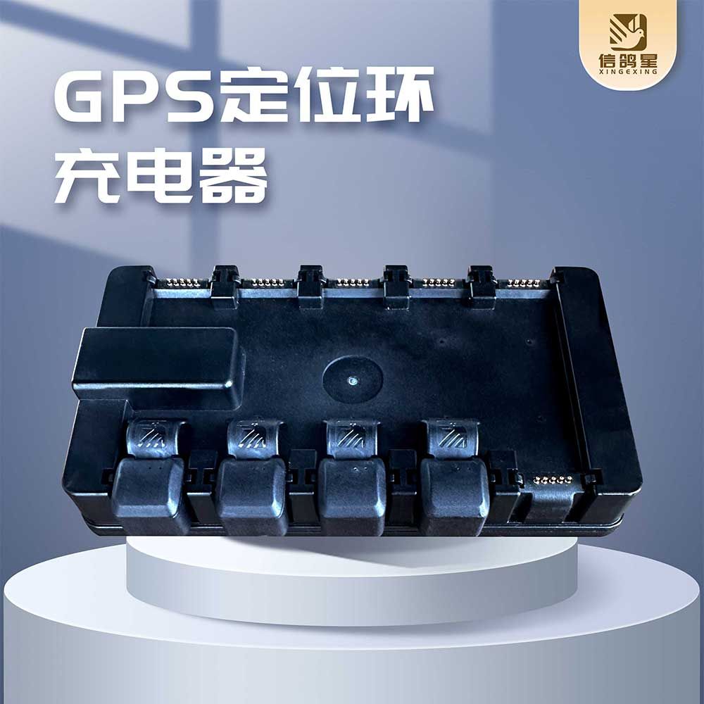 国家赛郑州赛区南通市包揽冠亚军，鸽友朱健700公里夺冠